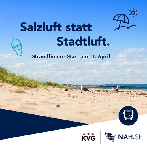 Mit den Strandlinien aus der Stadt direkt ans Meer